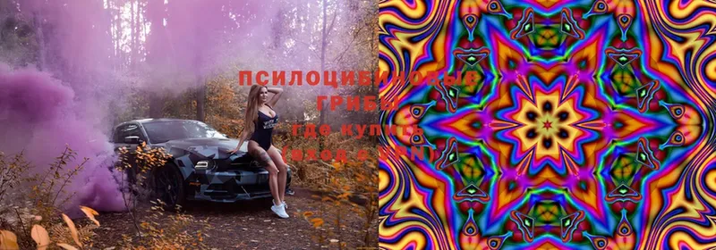 Галлюциногенные грибы Magic Shrooms  Магадан 