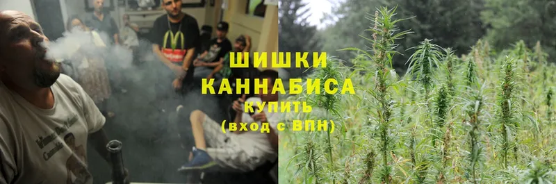 купить наркотики цена  Магадан  Марихуана LSD WEED 